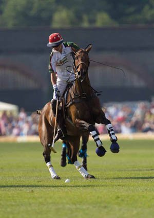 polothesportofprinces04.jpg